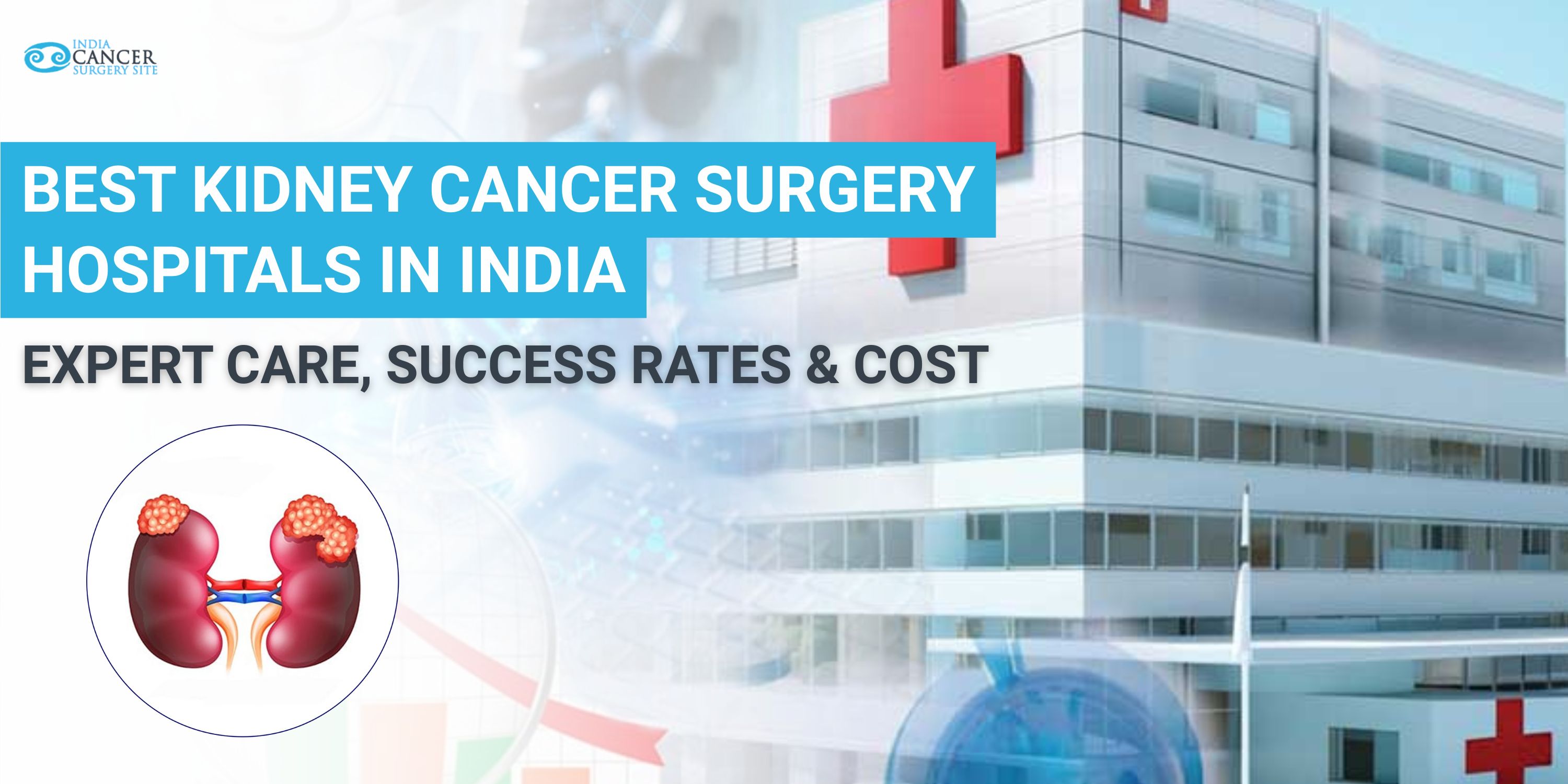 Top kidney cancer surgery hospitals in India with advanced robotic care and high success rates