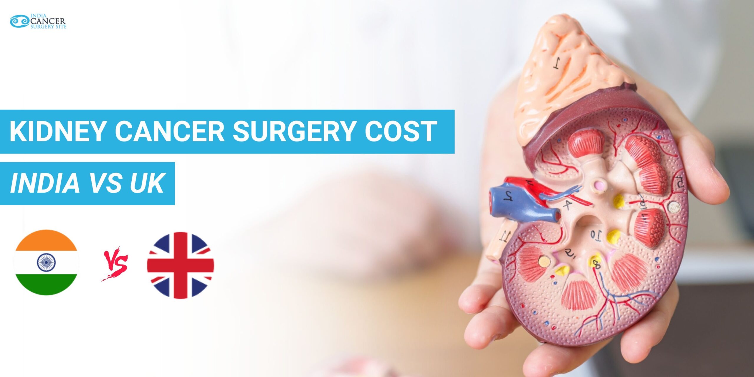 Kidney cancer surgery costs in India with nephrectomy comparison UK