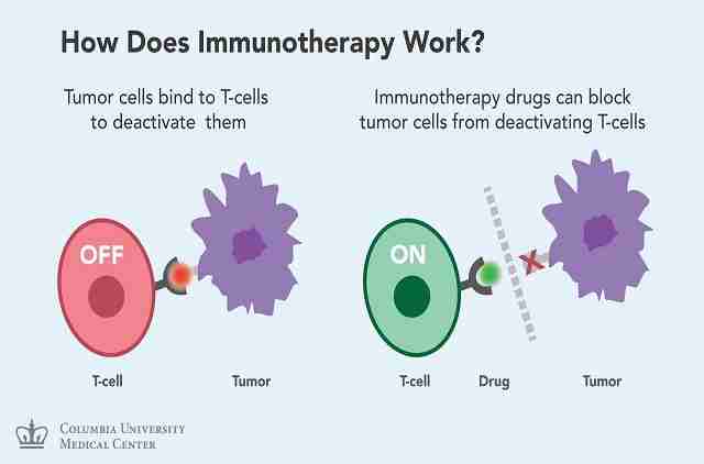 Immunothérapie