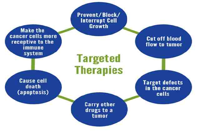 Targeted Therapy