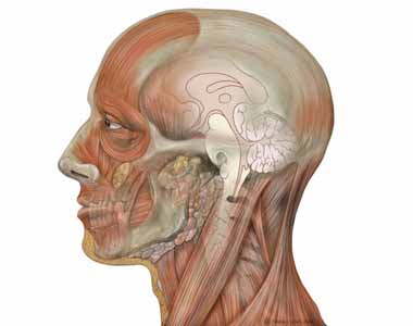 Chordom Treatment In India