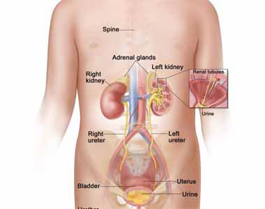 Neuroblastoma Treatment In India