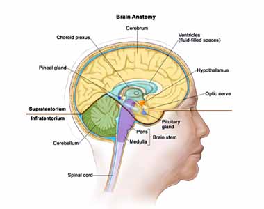 Treatment Central Nervous System Lymphoma, Primary India